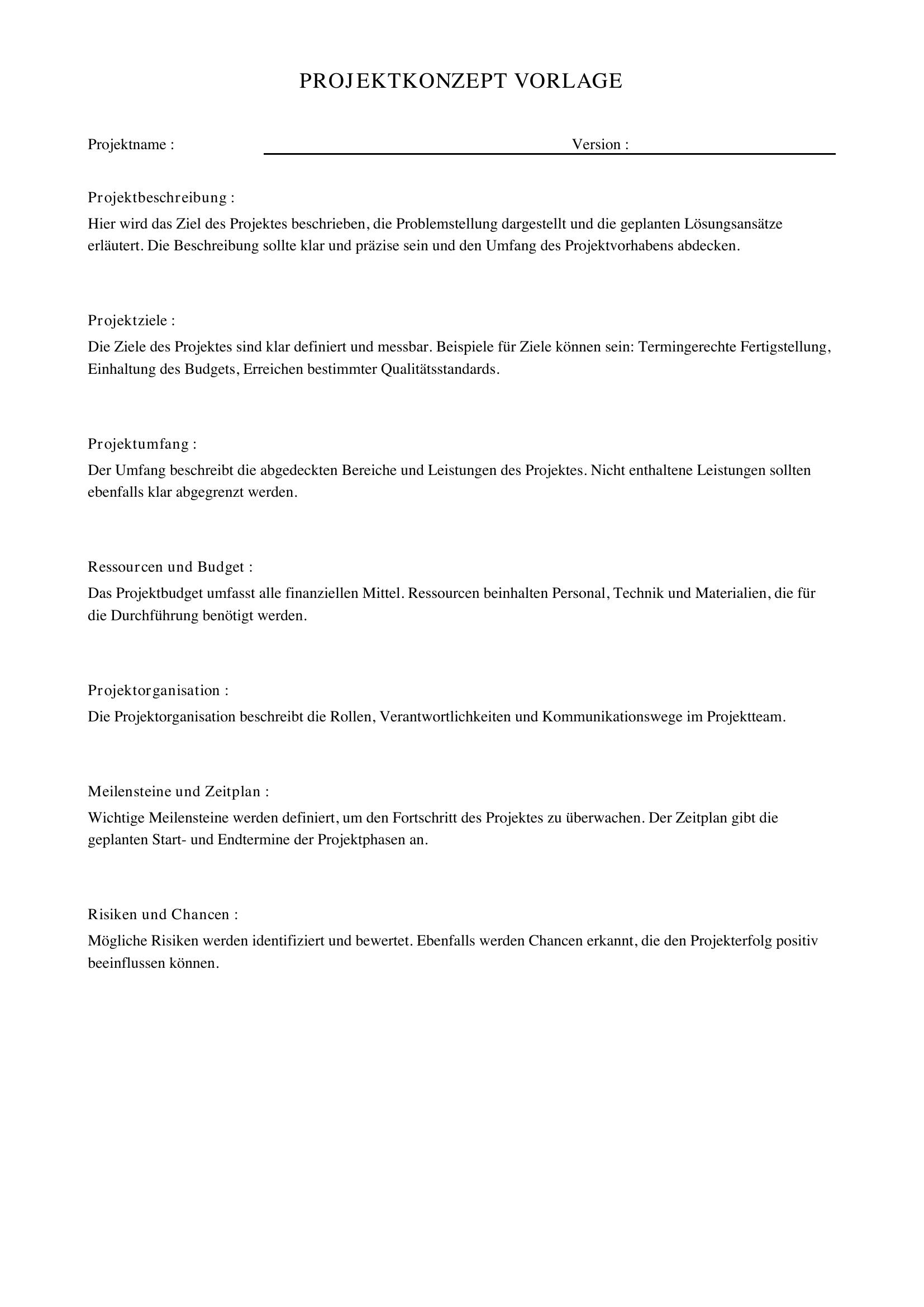 Projektkonzept Vorlage